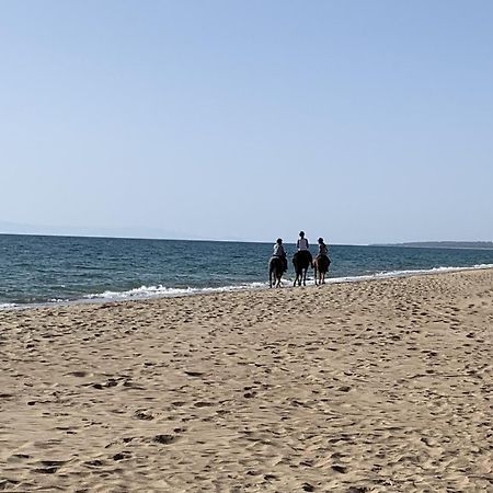 White Villas Douneika  Екстериор снимка